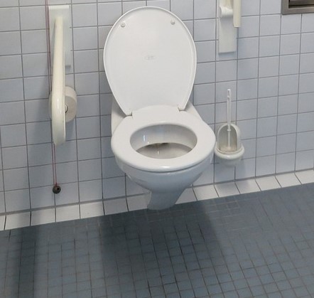 Zamena i popravka sanitarija WC šolja