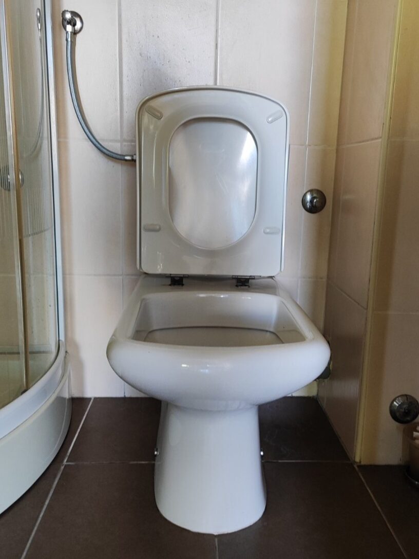 Zamena WC šolje u kupatilu sa povezanim dovodom vode